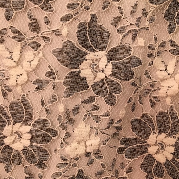 Ann Taylor Loft Short Sleeve Sweater - Picture 2 of 4